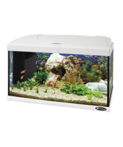 Acquario capri 60 bianco con led - 60 x 31.5 x h 39.5 cm, 60 l - ferplast