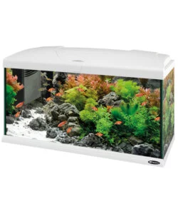 Acquario capri 80 bianco con led - 80 x 31.5 x h 46.5 cm, 100 l - ferplast