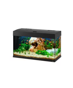 Acquario dubai 80 nero con led - 81 x 36 x h 51 cm, 125 l - ferplast