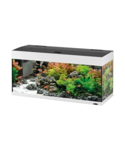 Acquario dubai 100 bianco con led -101 x 41 x h 53 cm - 190 l - ferplast