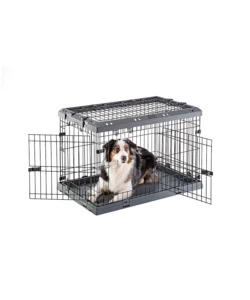 Gabbia box  per cani pieghevole "superior 90", 77x51x55 cm - ferplast