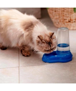 Distributore di cibo o acqua per cani e gatti "azimut 600", blu- ferplast