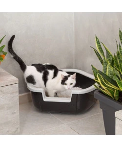 Lettiera toilette gatto angolare aperta ferplast "dama" nero 57,5x51,5x22 cm