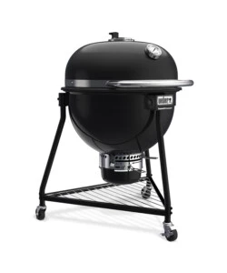 Barbecue a carbone weber "summit kamado e6" con griglia 61 cm