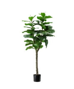 Pianta di ficus lyrata in polietilene con 60 foglie, 130 cm