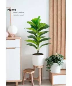 Pianta di ficus lyrata in polietilene con 21 foglie, 75 cm