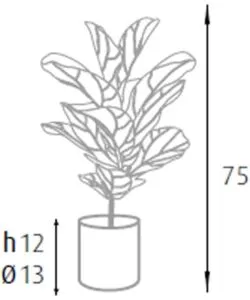 Pianta di ficus lyrata in polietilene con 21 foglie, 75 cm