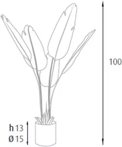 Pianta strelitzia in polietilene con 5 foglie, 100 cm