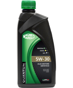 Olio Motore Castrol Magnatec 5W-40 C3 1 Lt