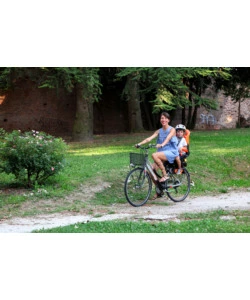 Seggiolino bici posteriore bellelli "tiger" arancione portata massima 22 kg