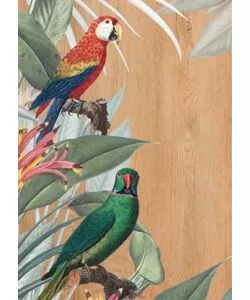 Quadro in legno 'red & green parrot', 47x67 cm