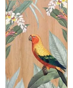 Quadro in legno 'multicolors parrot', 47x67 cm