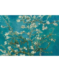 Fotomurale adesivo 'almond blossom' in pvc, 312x280 cm