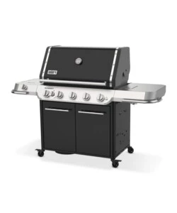 Barbecue a gas weber 'summit fs38 e' 5 bruciatori