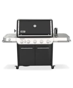 Barbecue a gas weber "summit fs38 e" 5 bruciatori