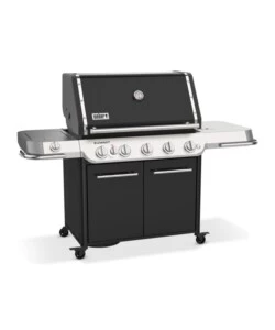 Barbecue a gas weber "summit fs38 e" 5 bruciatori