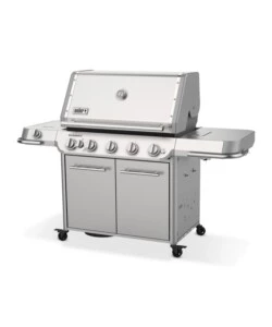 Barbecue a gas weber 'summit fs38 s' 5 bruciatori