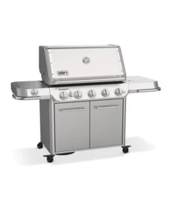 Barbecue a gas weber "summit fs38 s" 5 bruciatori