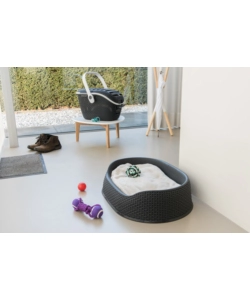 Trasportino per gatti keter "pet carrier" in resina colore antracite, 51x38x33 cm