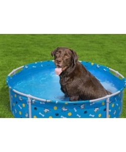 Piscina gioco per cani bestway "fetchin' fun" 122x122x30,5 cm