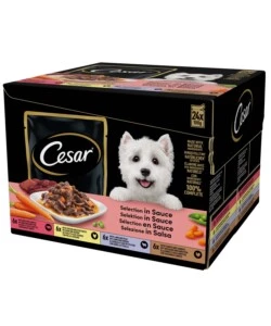 Cibo umido per cani cesar 'le delizie del giorno' adulto di tutte le taglie con carne e verdure 24x100 gr