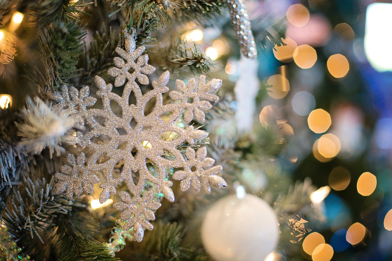 Natale In Famiglia Snowflake 1823942 1280 13503 1