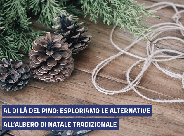 Banner 630X467px Pino 13136 1